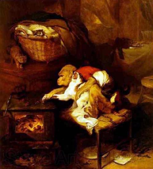Sir Edwin Landseer The Cat's Paw Norge oil painting art
